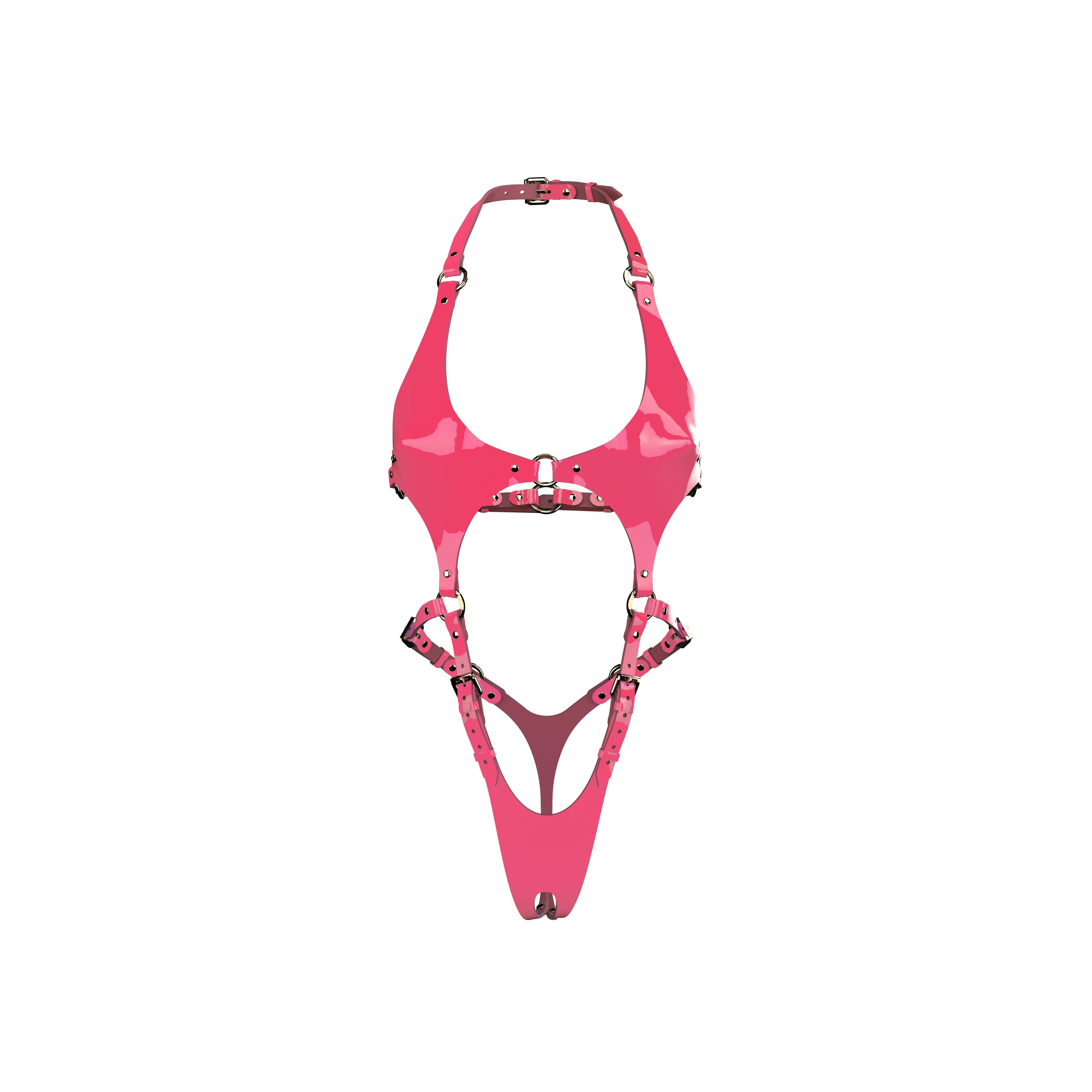 Pamela Lacquer Leather Crotchless Fullbody in Pink